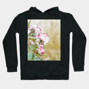 Light pink roses Hoodie